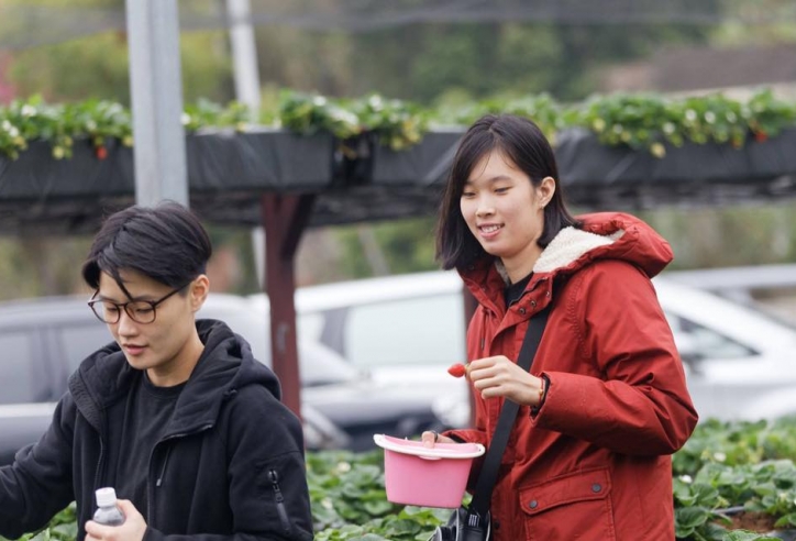 Bóng chuyền: Quá bận rộn, 28 tết Thanh Thúy mới được về quê