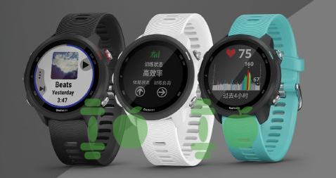 Rò rỉ hình ảnh của được cho là của Garmin Forerunner 245