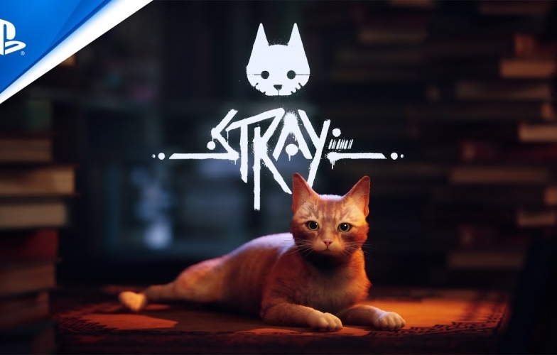 Hóa thân thành phượt thủ mèo đi khắp muôn phương trong tựa game Stray