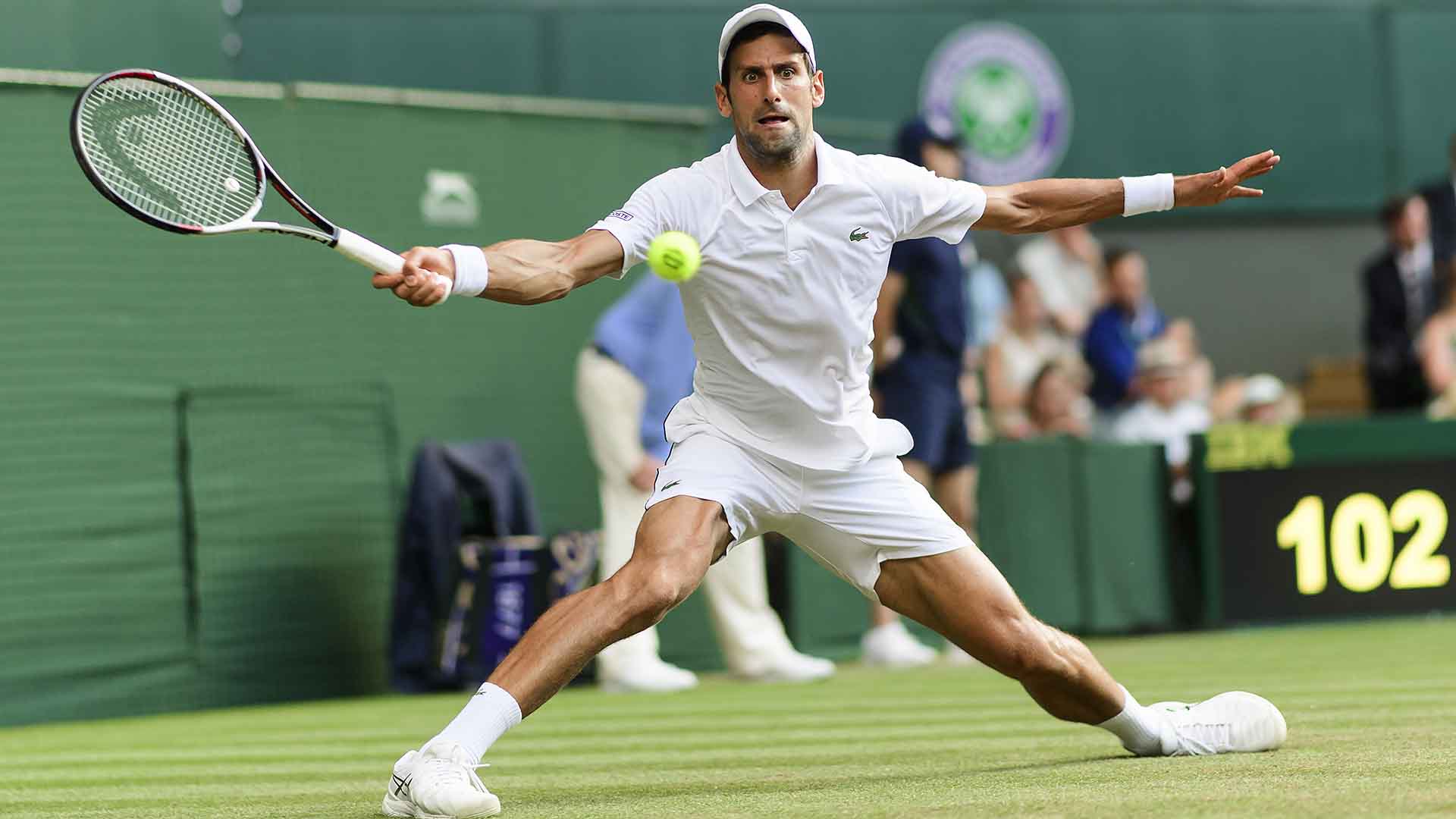 Trực tiếp Djokovic vs Kohlschreiber, trực tiếp wimbledon, trực tiếp tennis, link xem tennis, djokovic, wimbledon 2019