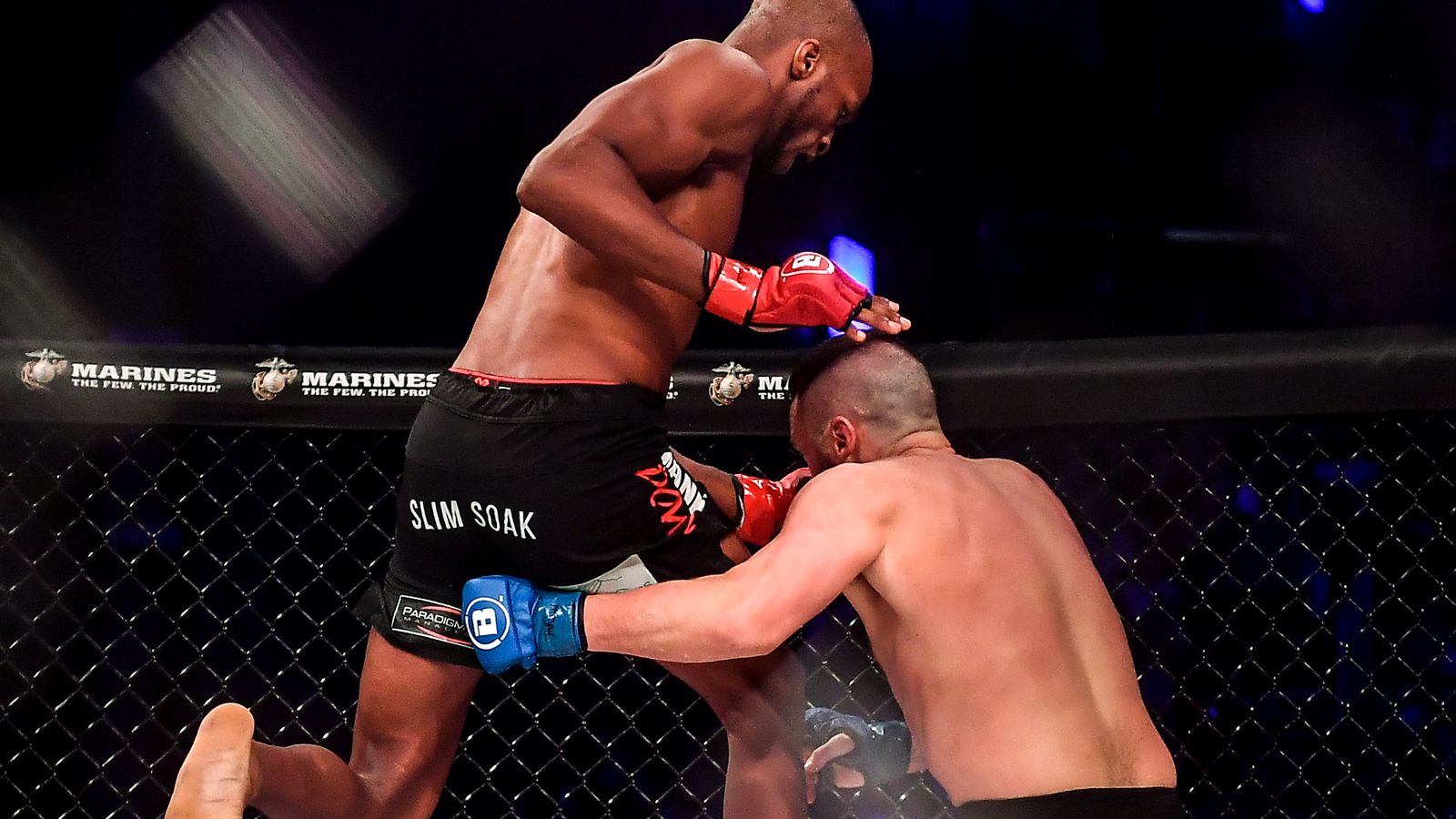 video, video võ thuật, Michael Page, Venom, Richard Kiely, Bellator 227, bay người lên gối, đầu gối bay