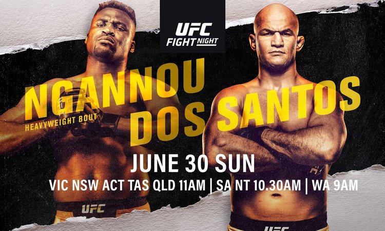 ufc, mma, francis ngannou, junior dos santos,