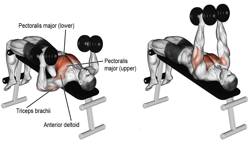 lịch tập gym chi tiết hiệu quả