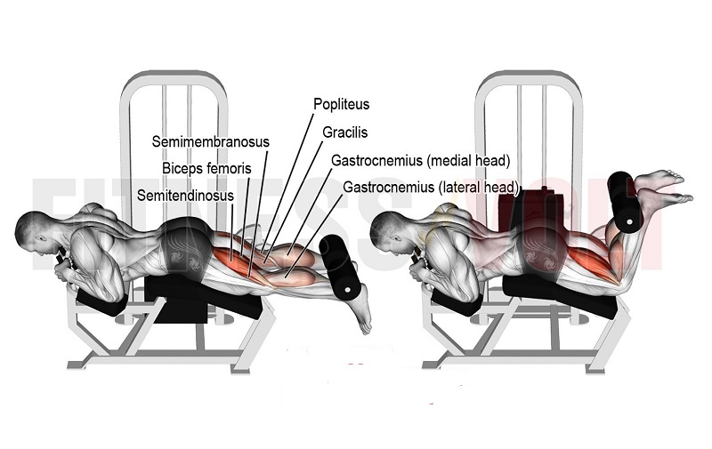 lịch tập gym cho nam tăng cân tăng cơ