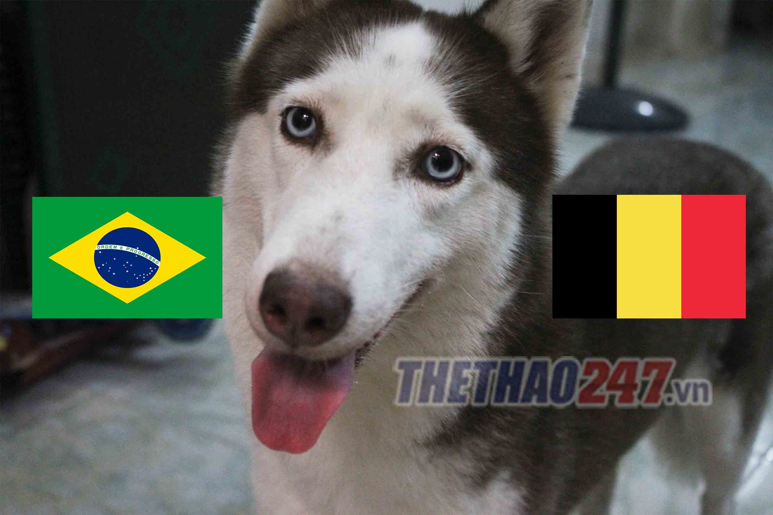 cho tien tri Loki du doan ket qua tu ket Brazil vs Bi