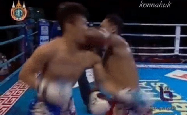 video mma, video võ thuật, video boxing