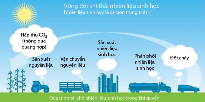 Xăng sinh học E5 có hại cho động cơ không? Xăng E5 thay thế A95 có lợi hay hại?